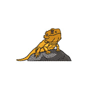Bearded Dragon On Rock - Bearded Dragon On Rock OSFM