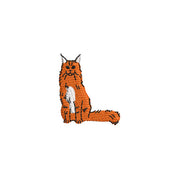 Maine Coon - Maine Coon OSFM