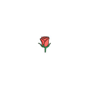 Mini Rose