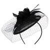 Women's Feather and Veil Fascinator - Black OSFM