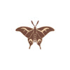 Atlas Moth - Atlas Moth OSFM
