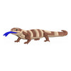 Blue Tongued Skink - Blue Tongued Skink OSFM