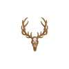 Wendigo Skull - Wendigo Skull OSFM