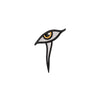 Mysterious Eye Logo - Mysterious Eye Logo OSFM