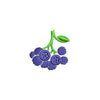 Blueberries digitized embroidery design
