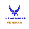 US Air Force Veteran with Wing - US Air Force Veteran with Wing OSFM