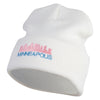 Minneapolis Skyline Embroidered 12 Inch Solid Long Beanie Made in USA - White OSFM