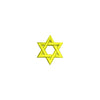 Jewish Star of David Icon