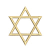 Star of David Logo